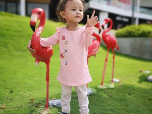 SUPLEMEN UNTUK ANAK DALAM RAHIM JADI SIHAT DAN BIJAK