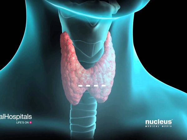 Tiroid Hilang Minum Vivix ? 14 Hari Dah Rasa Perubahan ?
