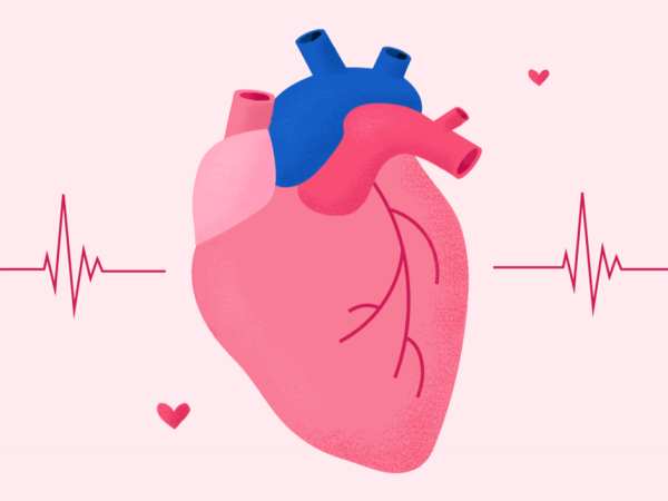 Jantung Laju Supplement Yang Sesuai