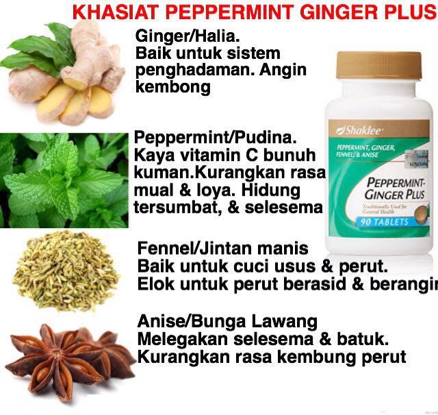 Peppermint Ginger Plus