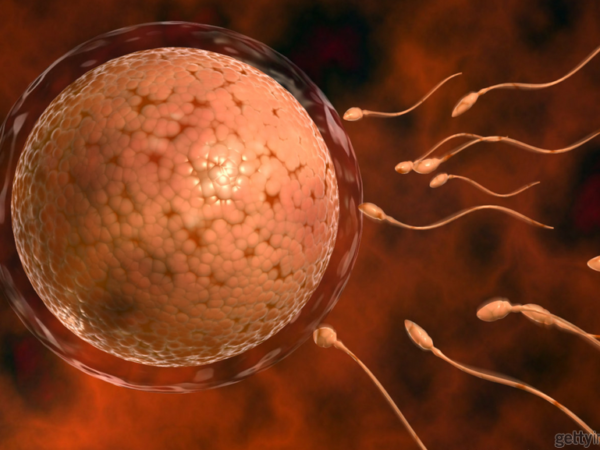 Matangkan Telur Ovum Dengan Makan Ini