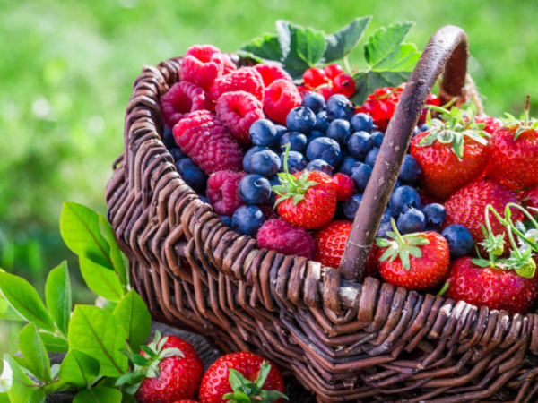 Makanan Bantu Lawan Kanser: Pilihan Terbaik Untuk Kurangkan Risiko Seawal Hari Ini