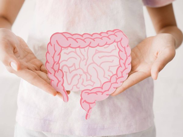 Supplement untuk Gut Health: Kunci Usus Sihat & Badan Bertenaga