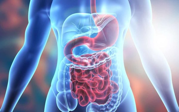 Vitamin untuk Masalah Pencernaan
