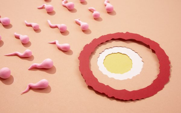 Kolesterol Tinggi Punca Sukar Hamil?