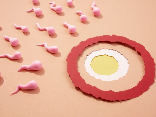 Kolesterol Tinggi Punca Sukar Hamil?