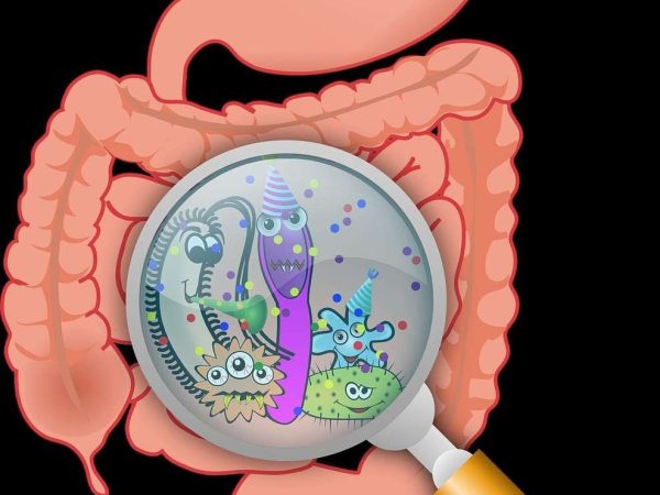 Tanda Usus Kotor: Jangan Abaikan Bila Badan Dah Bagi Signal!