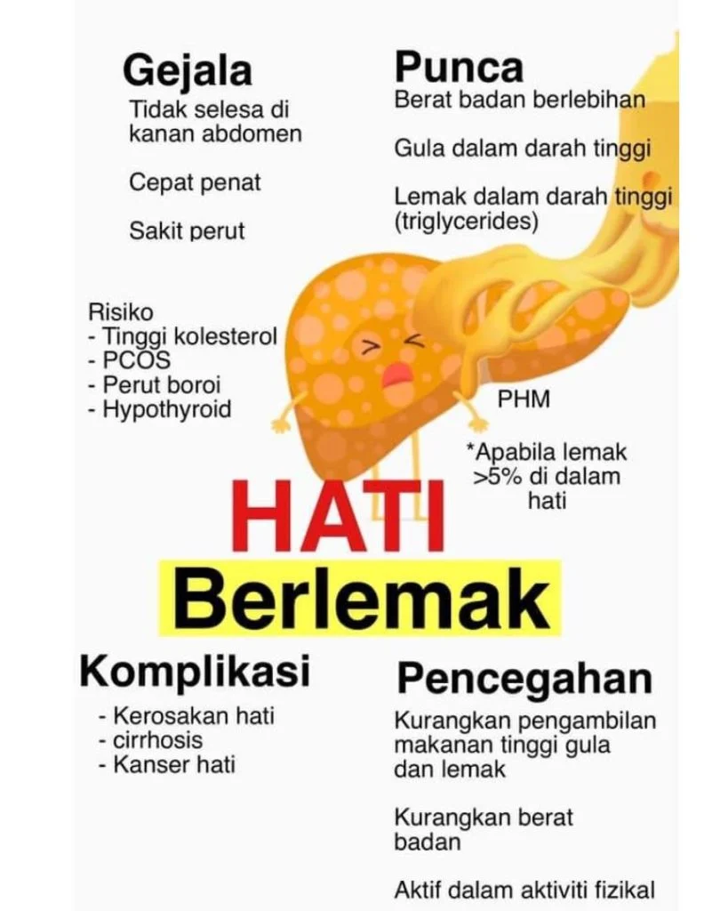 Cara Hilangkan Hati Berlemak