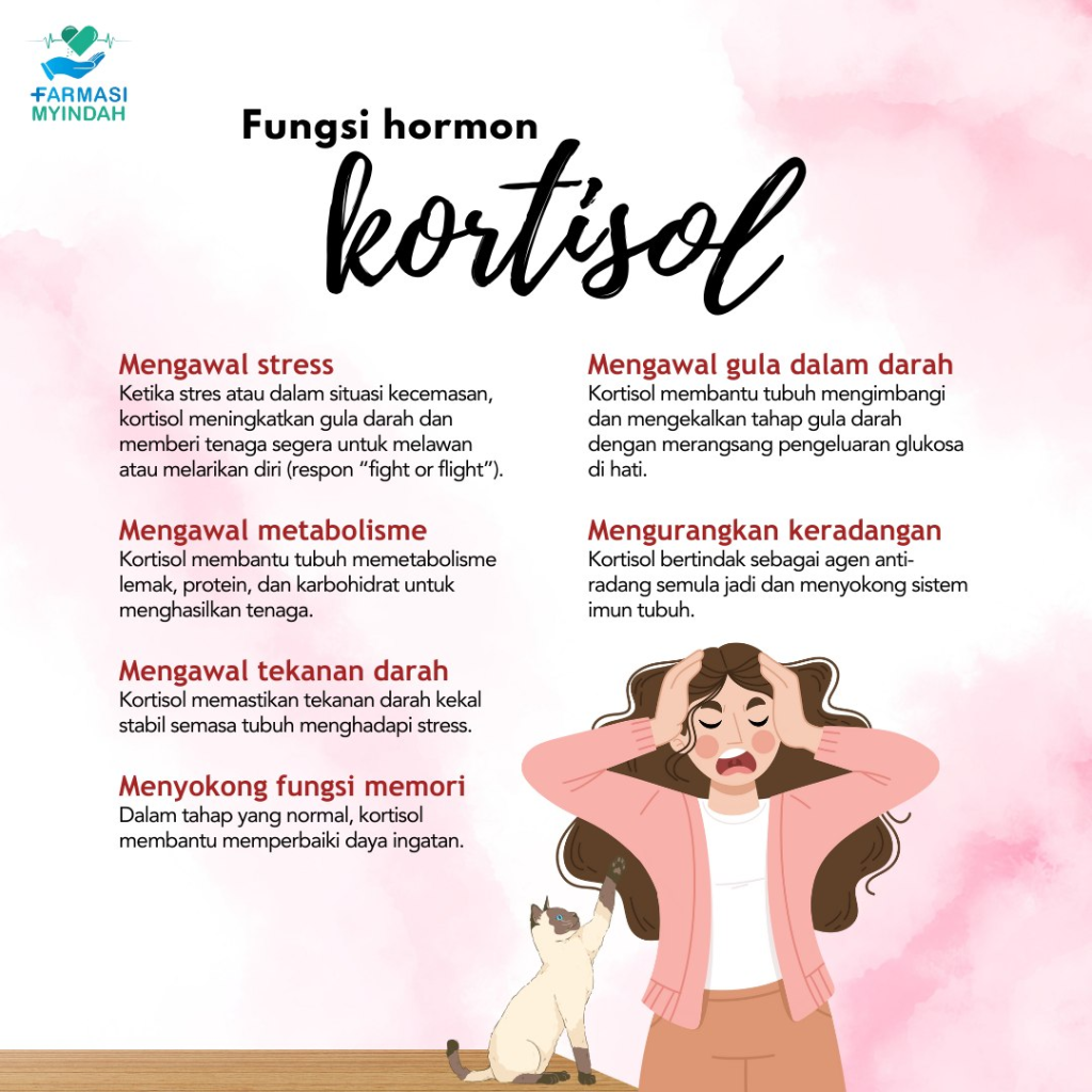 Minuman Reset Kortisol Tinggi