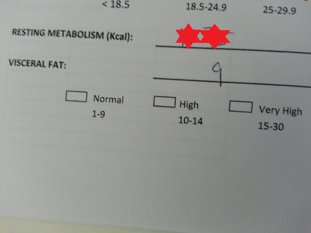 Turunkan Visceral Fat