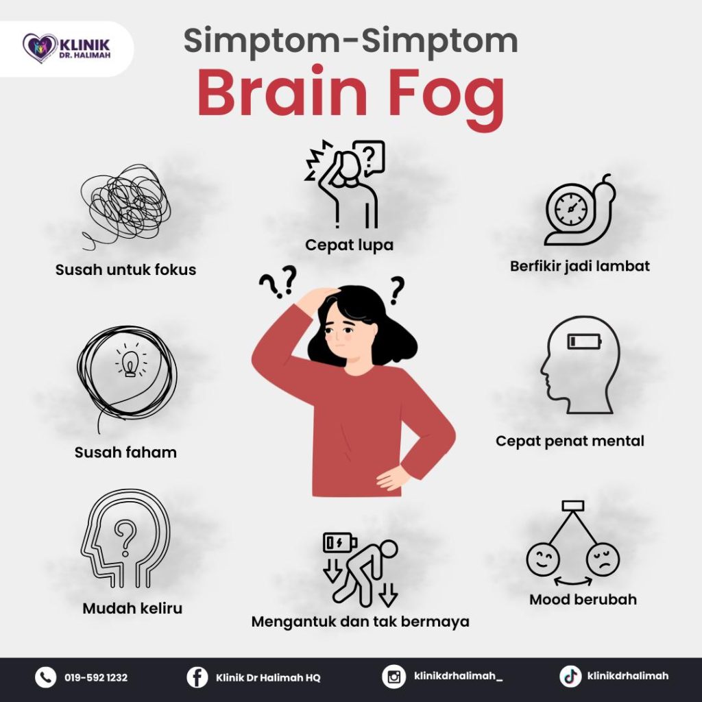 Supplement Elak Brain Fog